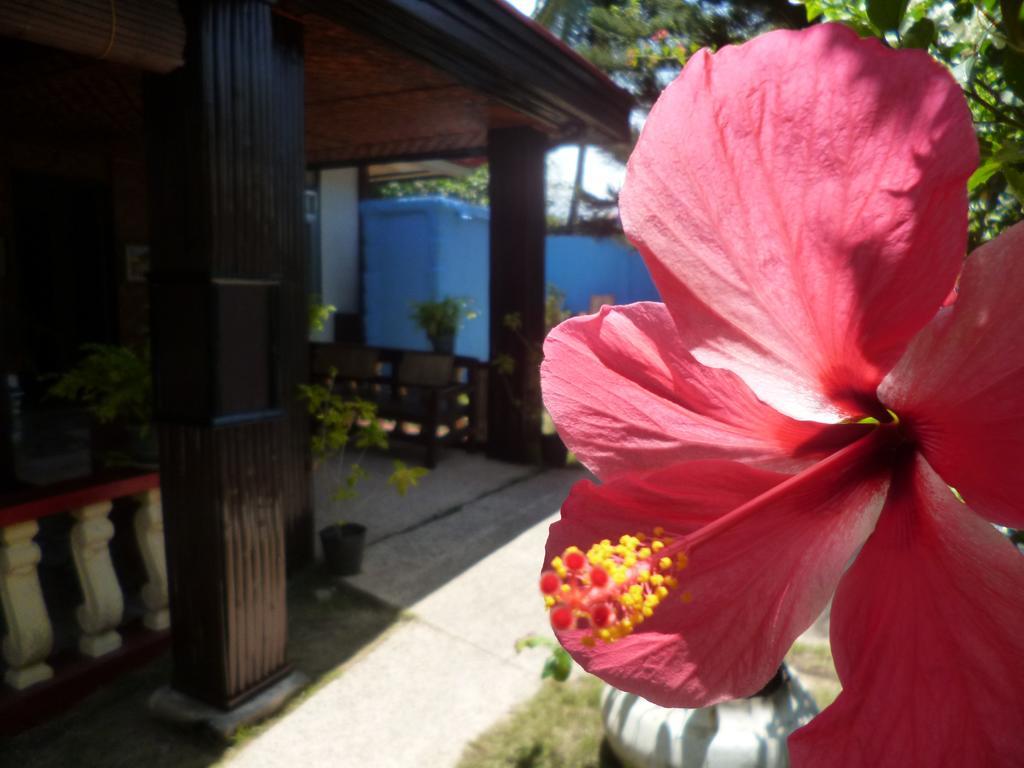 Casakeja Inn Panglao Esterno foto