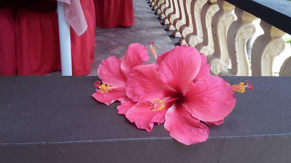 Casakeja Inn Panglao Esterno foto